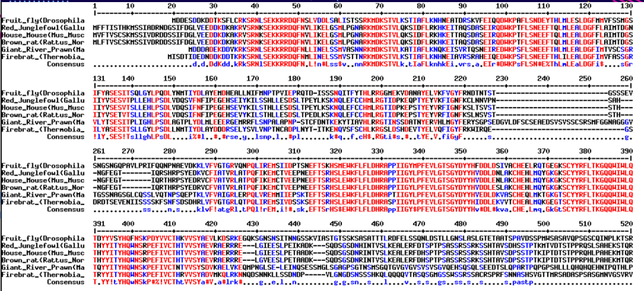 Area with Highest Concentration of Amino Acid Alignments